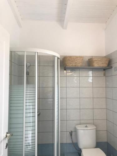 a bathroom with a toilet and a glass shower at Paradisos in Áyioi Pándes