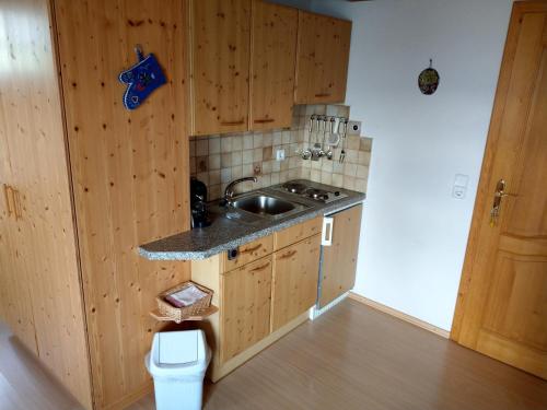 eine Küche mit Holzschränken, einem Waschbecken und einem WC in der Unterkunft Ferienwohnungen Eggarter in Fresach