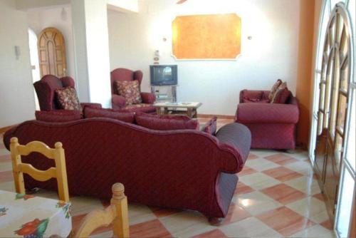 Gallery image of Leyla Eco Resort in Luxor