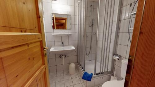 a bathroom with a shower and a sink at Am Färrichlift in Belalp