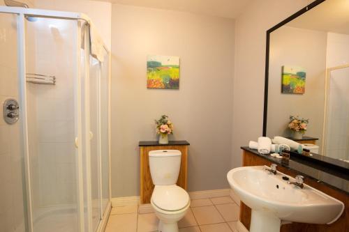 uma casa de banho com um WC, um lavatório e um chuveiro em Murphy's Hotel em Tobercurry