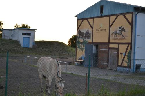 a horse grazing in a field next to a building at Ferienwohnung am Peenetal in Bentzin