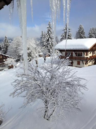 Το Le Caprice Des Neiges τον χειμώνα