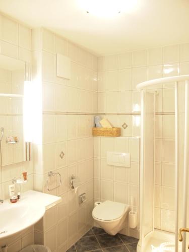 a white bathroom with a toilet and a sink at Apart-Garni Motnaida in Samnaun