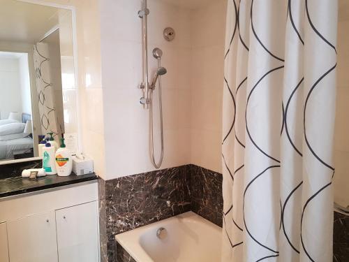 a bathroom with a tub and a shower with a shower curtain at Accommodation Sydney 38 Harbour Street Sydney in Sydney