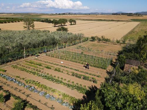 an overhead view of a farm field with a person on a horse at Locanda le Mandriane in Orbetello