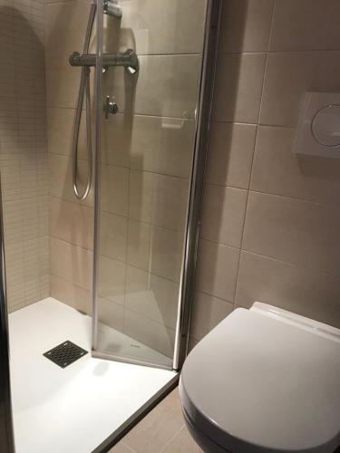 une salle de bain avec douche et toilettes dans l'établissement Budor, à Rospez