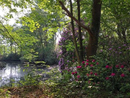 Un paisaje natural cerca of the bed and breakfast