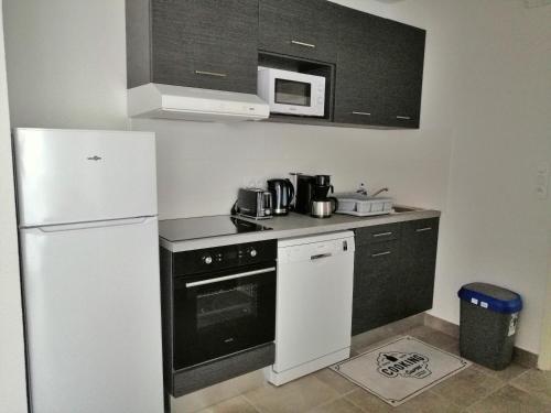 La cuisine est équipée d'un réfrigérateur blanc et d'un four micro-ondes. dans l'établissement Appt T3 neuf, draps et serviettes fournis, à Argelès-sur-Mer