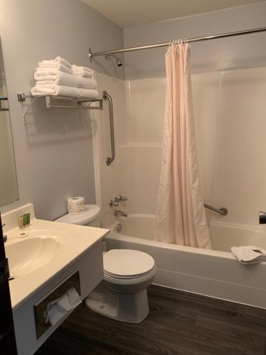 a bathroom with a sink and a toilet and a bath tub at Three Valley Lake Chateau in Revelstoke