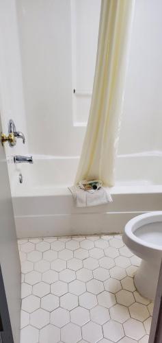 a bathroom with a tub and a toilet with a window at Palmetto Inn in Estill
