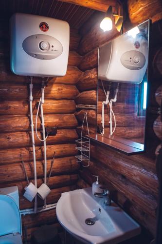 a bathroom with a sink and a mirror at Villa Frans și Căbănuțe in Eşelniţa