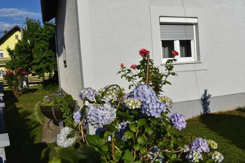 a garden of flowers in front of a house at House Burić in Otočac