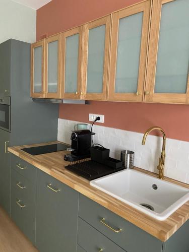 une cuisine avec un évier et un plan de travail dans l'établissement Villa st Louis 2, à Cabourg