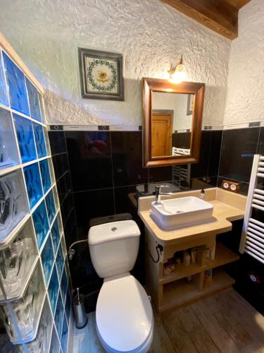 a bathroom with a toilet and a sink and a mirror at Finca Ses Fontanelles in Andratx
