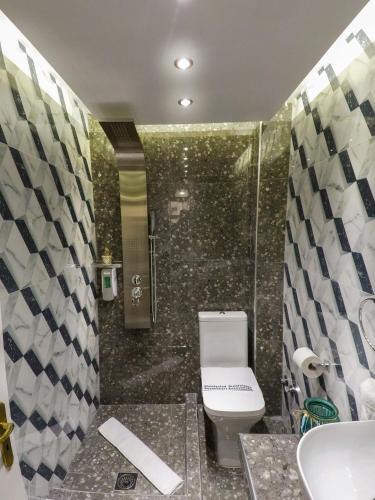 a bathroom with a toilet and a shower at Family Inn Apartments&suites in Neos Marmaras