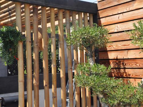 une clôture en bois avec deux arbres en pot dans l'établissement Villa Carroubier, à La Londe-les-Maures