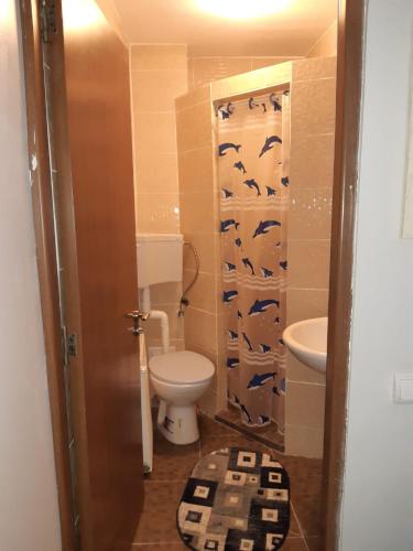 a small bathroom with a toilet and a sink at Vila Muntii Bucegi & SPA in Bran