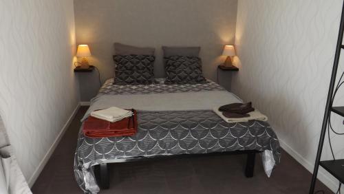 um pequeno quarto com uma cama grande e 2 candeeiros em Appartement T2 ,parking privé,terrasse, 10 mns à pieds de la cité corsaire et ses plages em Saint Malo