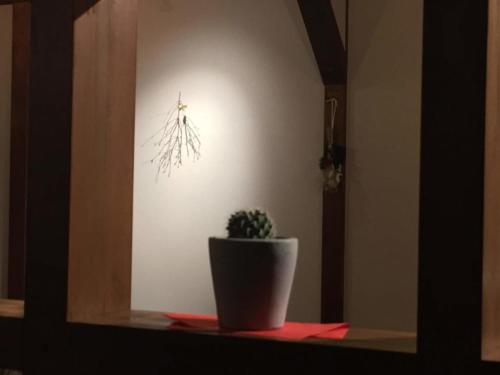 a plant in a pot on a shelf with a light at KINOSAKI KNOT - Vacation STAY 83610 in Toyooka
