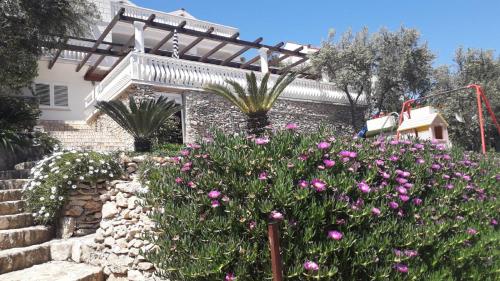 Villa Rosa – Photos 3