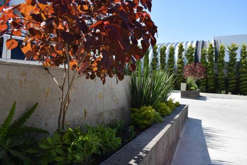 a retaining wall with a tree and some plants at Hotel Pacific in Tijuana