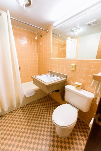 a bathroom with a toilet and a sink and a mirror at OAKS MOTEL GREENSBORO NC in Greensboro