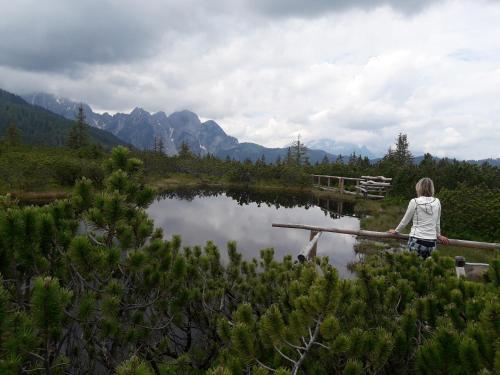 a woman standing on a bridge over a lake at Apartmenthaus Edelweiss in Gosau in Gosau