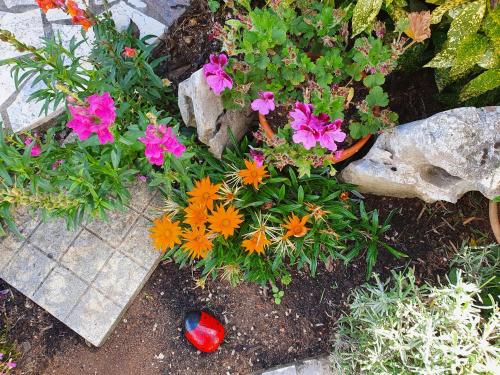 a flower garden with colorful flowers and a rock at Apartments Olivia & Navy, Šilo in Šilo
