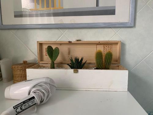 un estante con cactus y un mando a distancia en un mostrador en Art terrace, en Nápoles