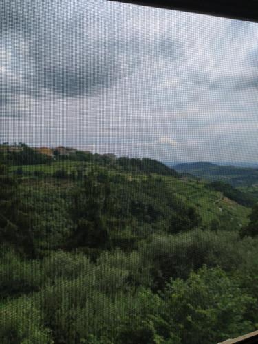 Příroda nedaleko apartmánu