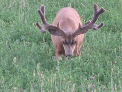 Creek Side Bed and Breakfast – Photos 5