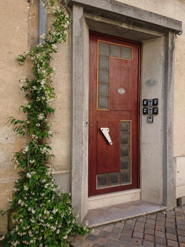 a door to a building with a plant at Petit studio à BORDEAUX CHARTRONS / JARDIN PUBLIC (6) in Bordeaux