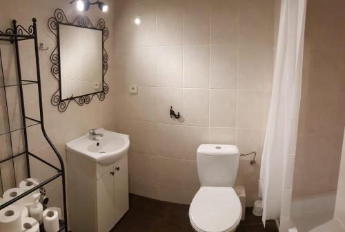 ein Badezimmer mit einem WC, einem Waschbecken und einem Spiegel in der Unterkunft Apartament Bursztynowy Jantar 2 pokojowy in Jantar