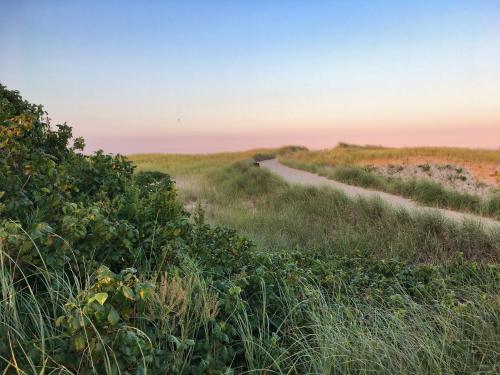a dirt road in the middle of a field at Endless Coast, A Boutique Hotel in Wellfleet