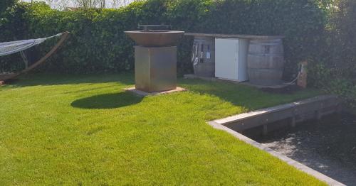 a yard with a water fountain in the grass at Villa Pura Vida in Oud-Ade