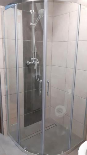 a shower with a glass door with a toilet at Noclegi Damianek in Nowy Targ