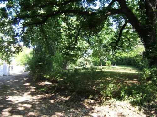 a large tree shading a park with a field at Chambres d'Hôtes Domaine d'En Baleux in Labruguière