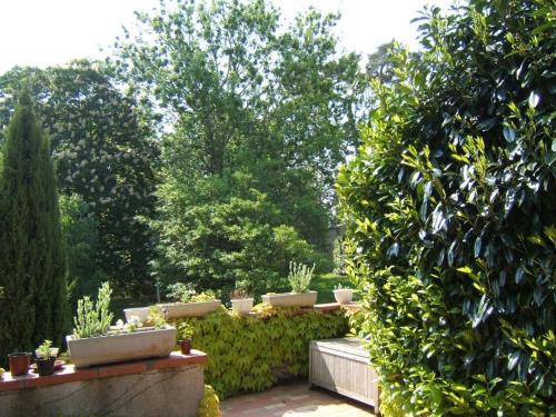 a garden with trees and bushes and plants at Chambres d'Hôtes Domaine d'En Baleux in Labruguière