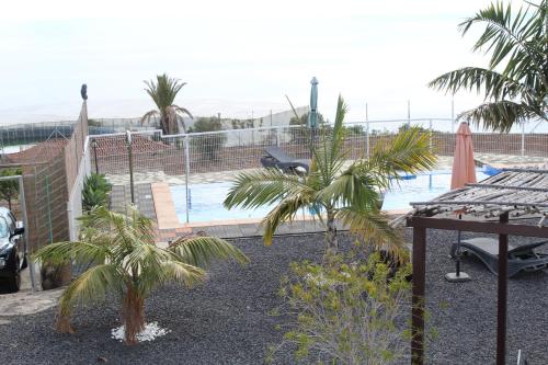 ティハラフェにあるVivienda Vacacional Capellania con Piscina Tijarafeのヤシの木が茂るスイミングプールの景色を望めます。