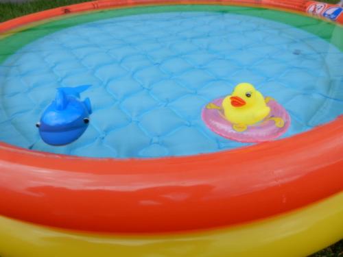 a toy rubber duck in a pool with a boat at Kawaguchiko Cottage Minami in Fujikawaguchiko