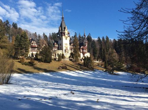 Gallery image of Bistro-Pension La Teleferic in Sinaia