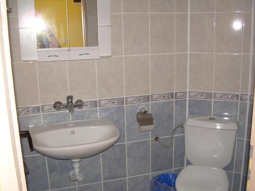 a bathroom with a toilet and a sink at Familly hotel Randevu in Kranevo