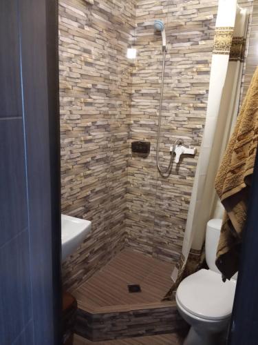 a bathroom with a shower with a toilet and a sink at La Kosta Zatoka in Zatoka