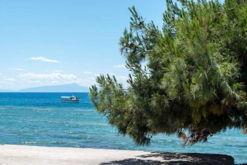 a tree on the beach with a boat in the water at Endless sea view house in Nea Iraklia