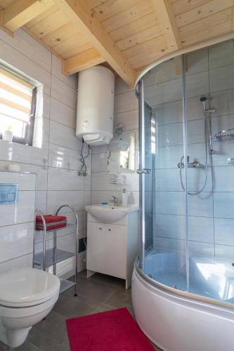 a bathroom with a shower and a toilet and a sink at Domki na Jurze in Kroczyce