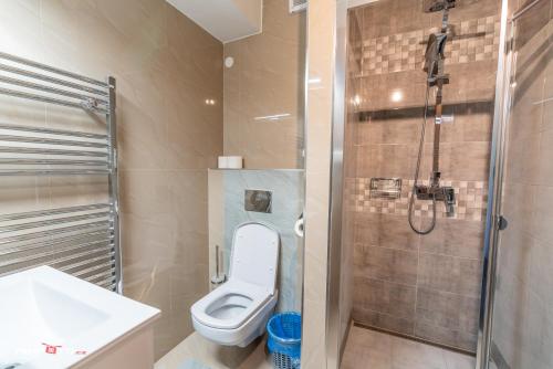 a bathroom with a toilet and a shower at Hotel Hvězda in Kroměříž