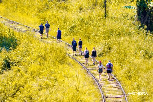 a group of people walking on train tracks at Guest Inn Avendra in Ella