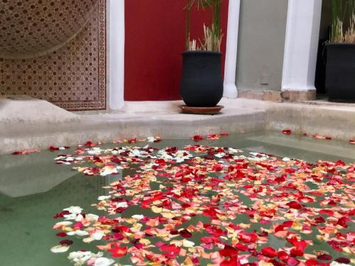 Riad Loudaya & Spa – Photos 3