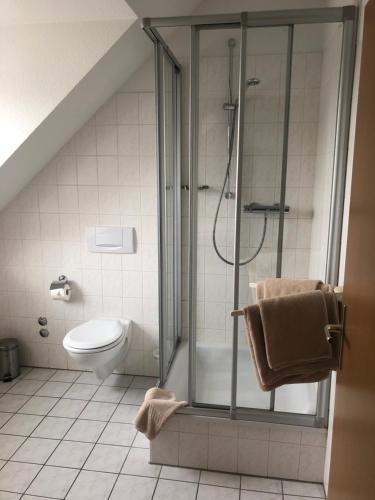 a bathroom with a shower and a toilet at Pension Zur Linde in Berlstedt